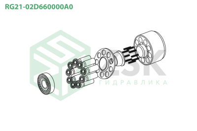 RG21-02D660000A0